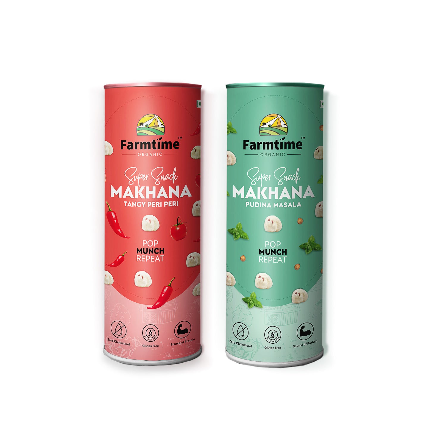 Pudina Masala + Tangy Peri Peri Combo of 2